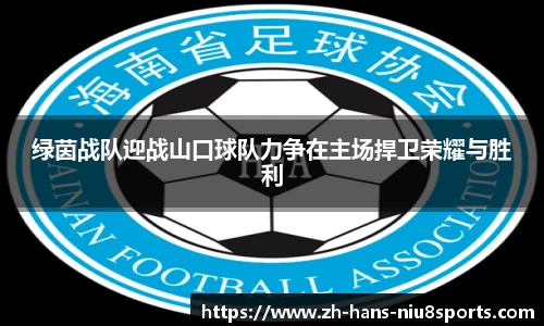 绿茵战队迎战山口球队力争在主场捍卫荣耀与胜利
